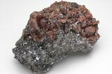 Lustrous Bustamite Crystals on Galena - Broken Hill, Australia #209339-1